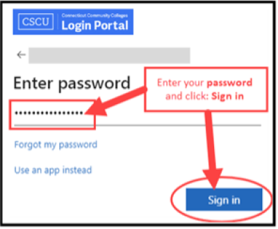 screenshot showing password enter sign in