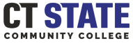 CT State Logo