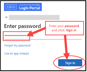 screenshot showing password enter sign in