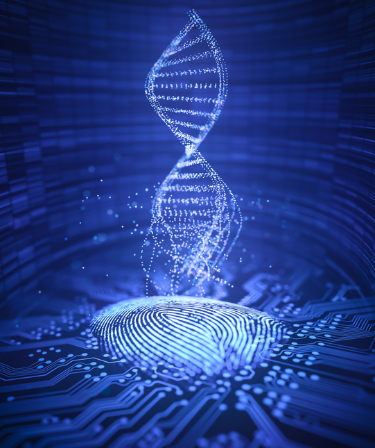 DNA strand and fingerprint