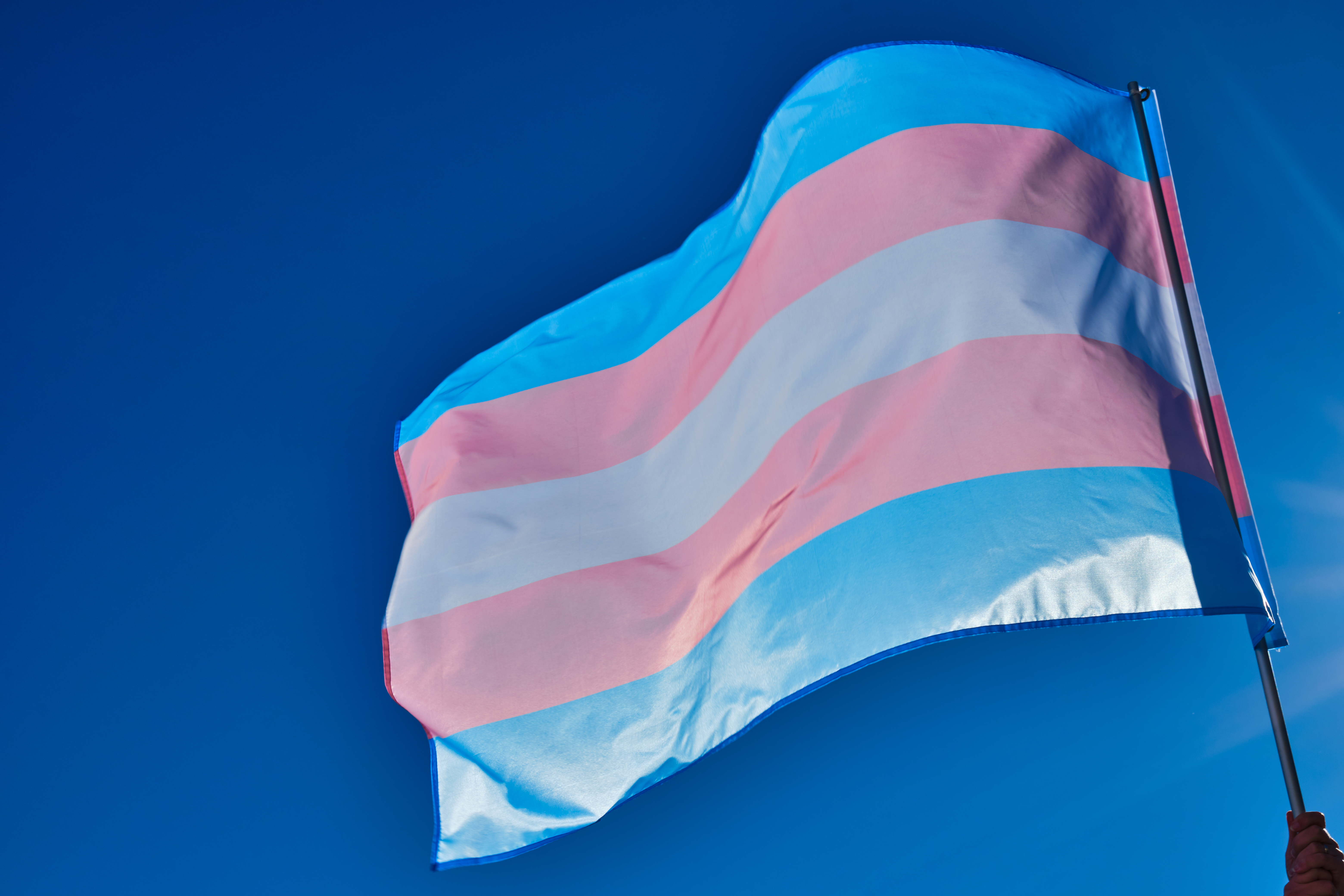 transgender flag