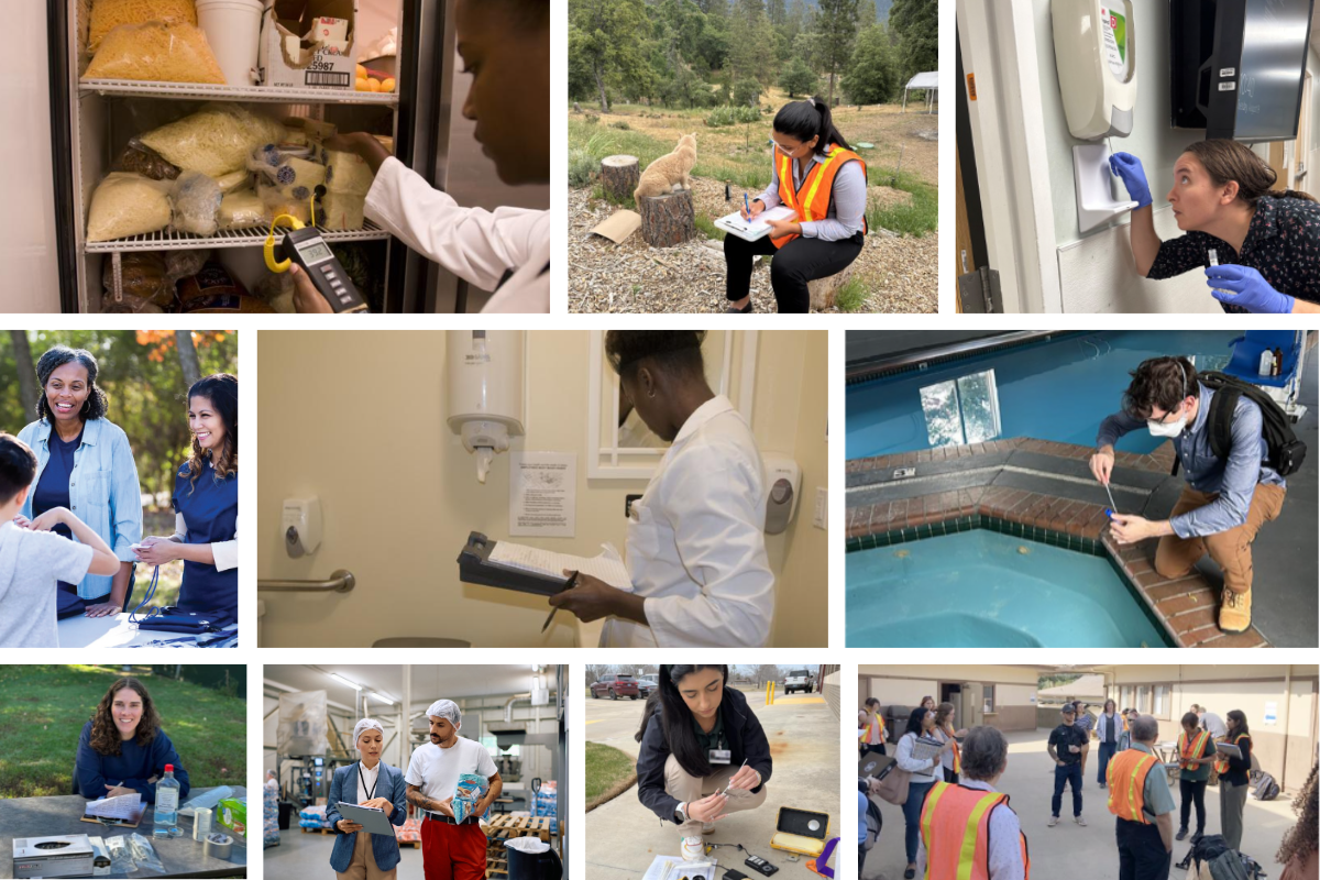 Collage of different people working in public health fields