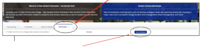 screenshot showing where certificate tabs are
