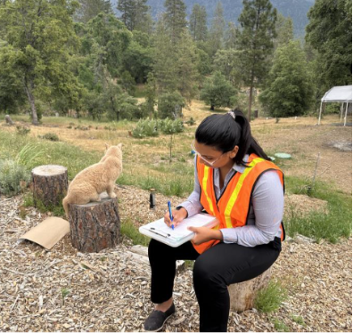 Worker writes notes on scene in a field/farm area. Cat sits on log in background.