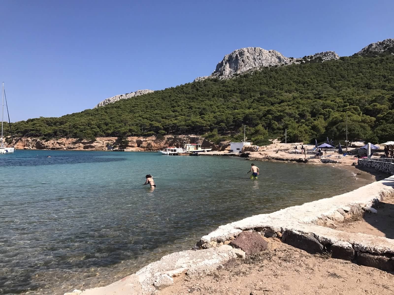 students swim at beach