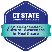 Cultural Awareness in Healthcare badge