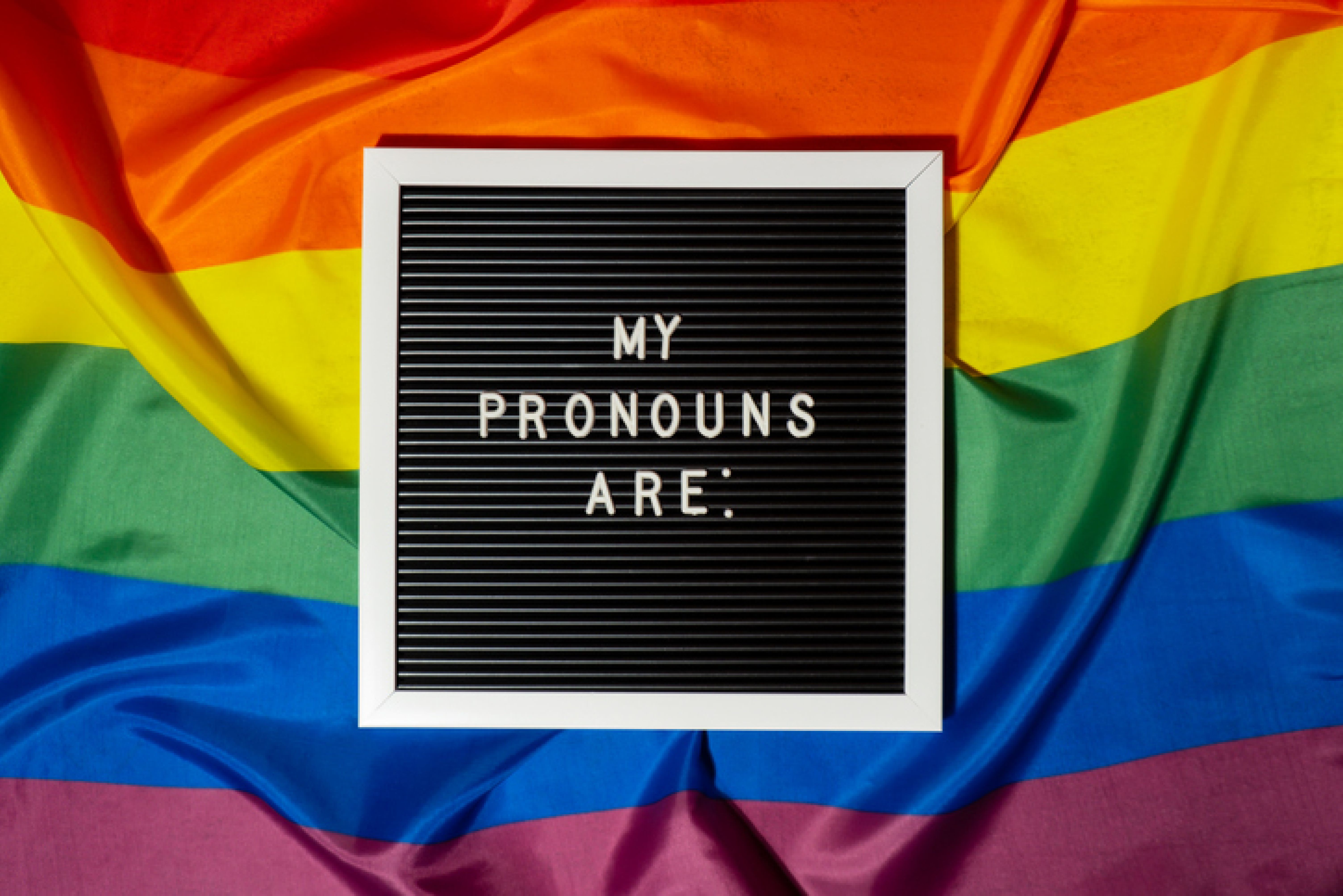 rainbow flag with black square on top of it, reading in white letters "My Pronouns Are:"