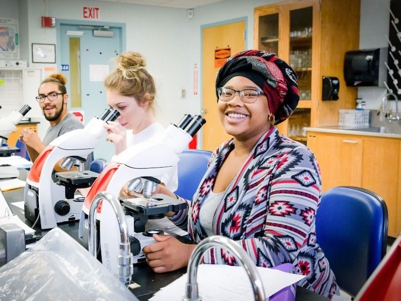 Student studying at desk