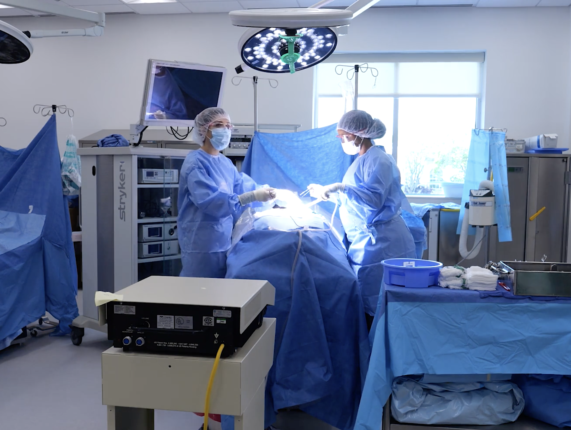 surgical technicians working in laboratory setting