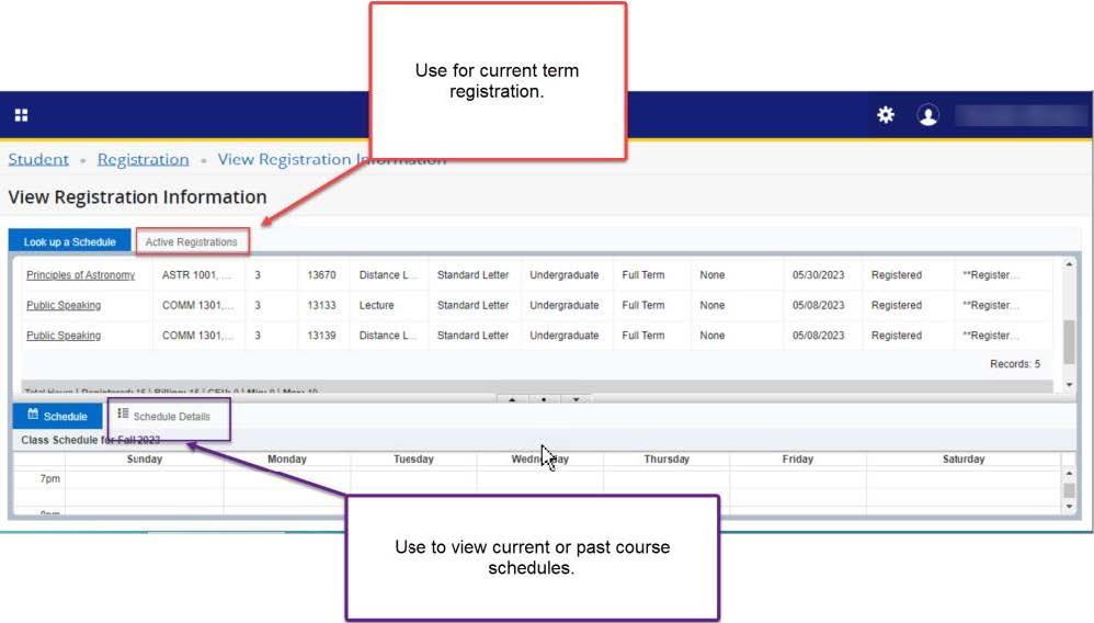 screenshot showing active registrations and schedule details screens