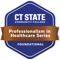 Professionalism in Healthcare Series badge