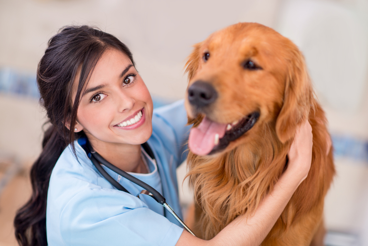 Veterinary assistant hugs dog and smiles at camera